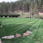 Yard mowing in Rapid City SD