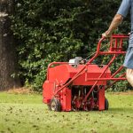 Lawn Maintenance