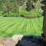 Mowed Lawn in Rapid City SD