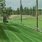 Lawn Care Services Provided by Remboldt Lawn Services in Rapid City SD