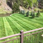 Lawn Mowing Services in Rapid City SD
