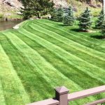 Lawn mowing services by Remboldt Lawn Services