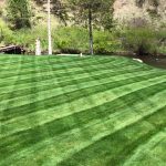 Mowed Lawn in Rapid City, SD