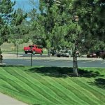 Black Hills Lawn Care by Remboldt Lawn Services
