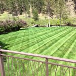 Backyard Lawn Care by Remboldt Lawn Services